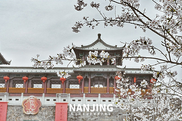 樱洲第 5 张图片