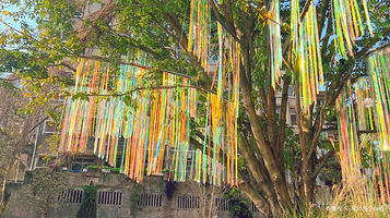 仁爱堂荒野公园