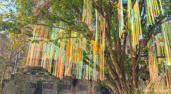 仁爱堂荒野公园