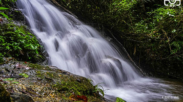 天井山国家森林公园