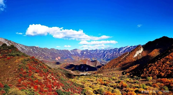 群加国家级森林公园