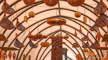 南沙水鸟世界生态公园