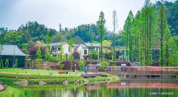 福宝玉兰山景区