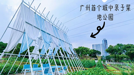 一方乐田都市农园第 1 张图片