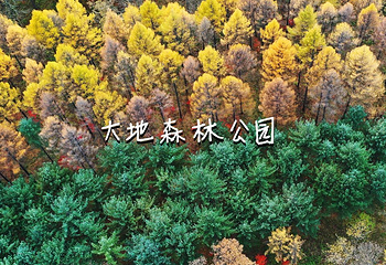 大地森林公园第 12 张图片