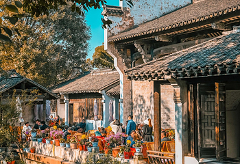 祠堂群第 1 张图片