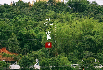 孔雀湖生态旅游区第 11 张图片