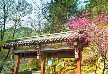 桃花源第 1 张图片
