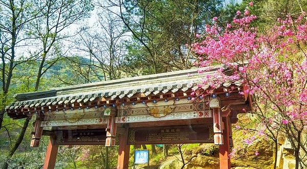 泰山风景名胜区-桃花源