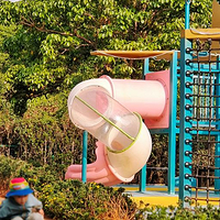 公园1903·Roof Zoo运动公园