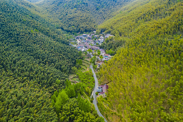 笄山竹海风景区第 2 张图片