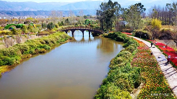 梦寻花海湿地公园