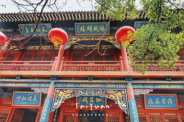 崇善寺第 6 张图片