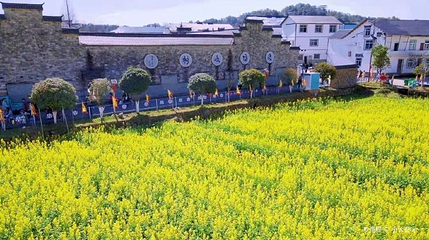 渡坊水村第 1 张图片
