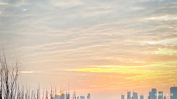 武昌杨泗港大桥南岸桥头公园