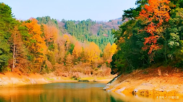 红叶湾景点