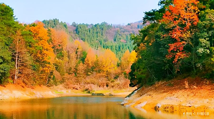 红叶湾景点第 1 张图片