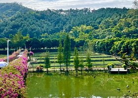 广东南山森林公园