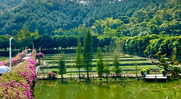 广东南山森林公园