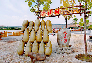 沙坡头第 151 张图片