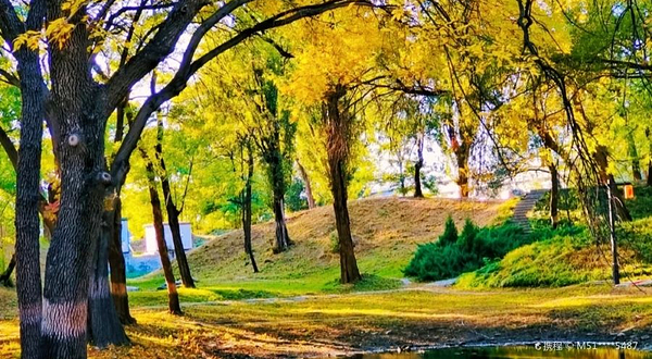 沂水国家湿地公园