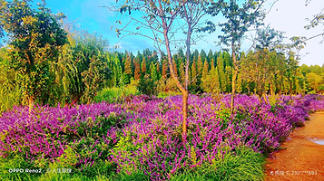 洛龙河入滇口和谐公园