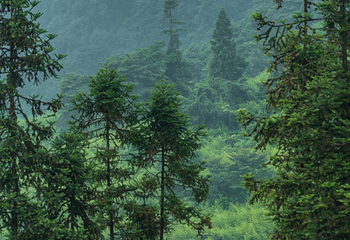 赵公山景区第 14 张图片