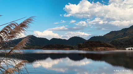 凤凰湖景区第 1 张图片