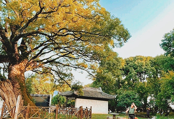 明月湾古村第 3 张图片