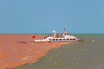 黄河口生态旅游区第 56 张图片