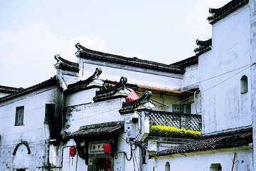 新叶古村第 63 张图片