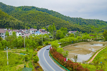笄山竹海风景区第 5 张图片