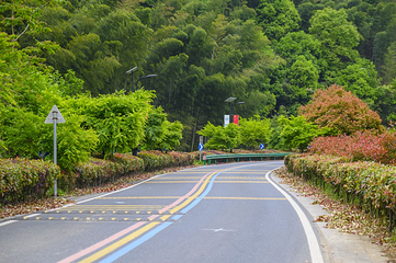 笄山竹海风景区第 4 张图片