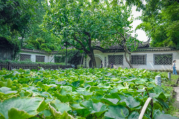 绍兴鲁迅故居第 12 张图片