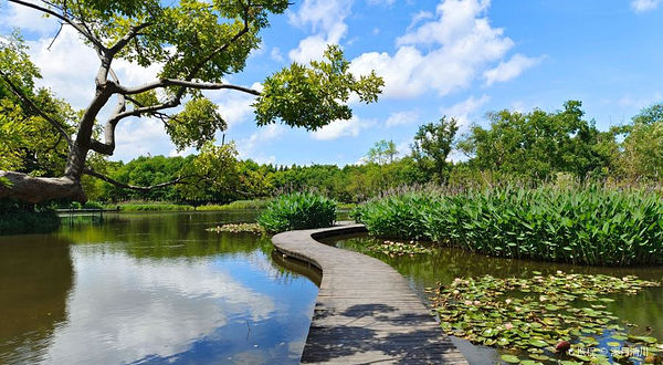 长兴岛湿地公园