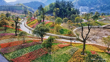 秦巴生态植物园