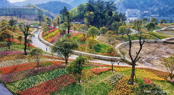 秦巴生态植物园