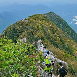 排牙山