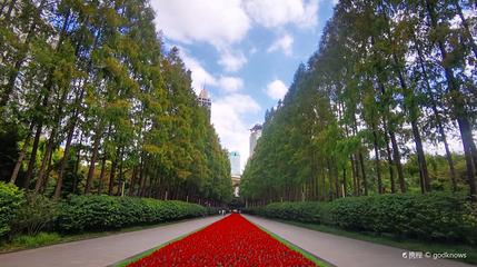 延中绿地第 1 张图片
