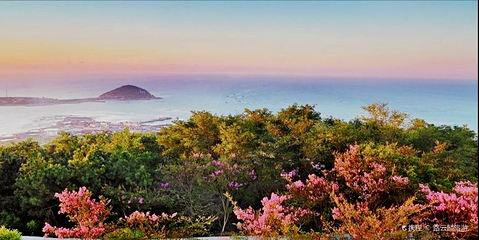 青岛西海岸凤凰山公园第 1 张图片
