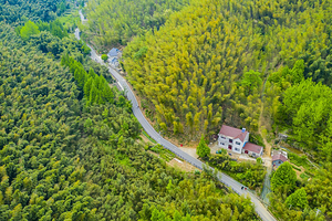 笄山竹海风景区