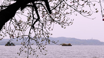 曲院风荷电瓶船码头