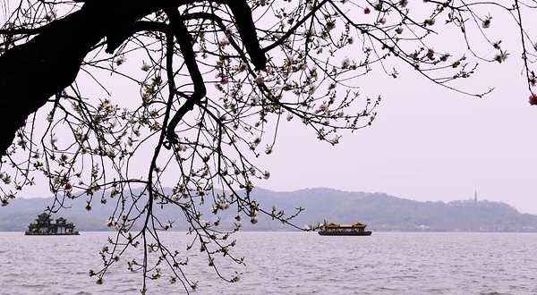 曲院风荷电瓶船码头