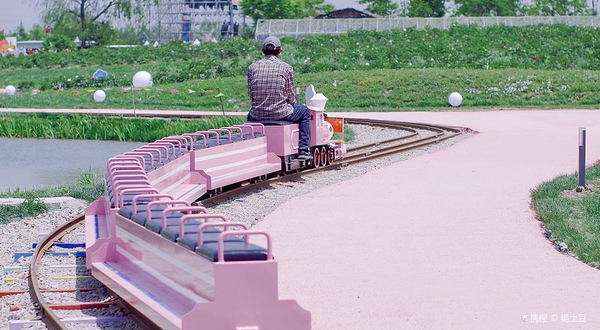 石淙花海花田囍市景区