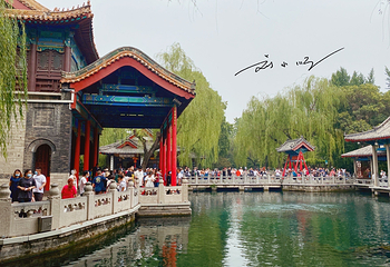 趵突泉景区第 62 张图片