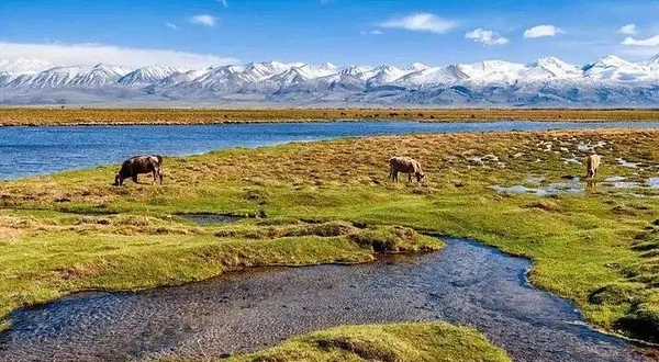 康保县卧龙图度假村