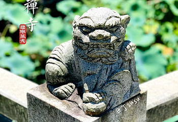 金铙山-报国寺第 10 张图片