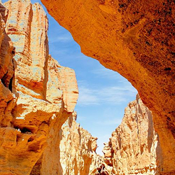 罗布泊雅丹大峡谷