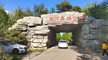 星河森林公园第 1 张图片
