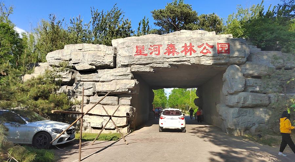 星河森林公园